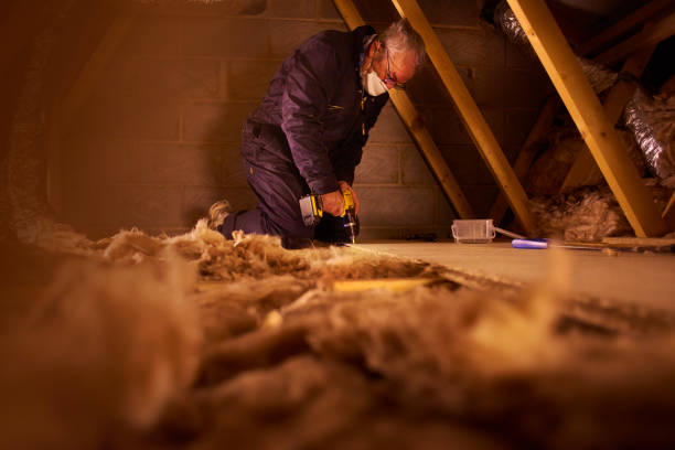 Best Eco-Friendly Insulation in Holly Ridge, NC